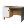 Meble młodzieżowe z bardzo pojemną szafą i nowoczesnym biurkiem dla ucznia BREKSIT 25 - Zdjęcie 3
