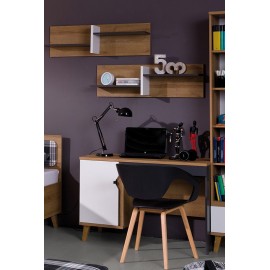 Stylowy zestaw z pojemnym biurkiem oraz dwoma półkami BREKSIT 9